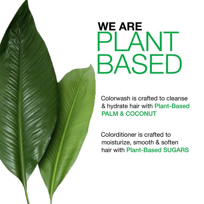 Gem Lites Colorditioner - Ruby